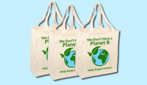 Reuseable Grocery Totes
